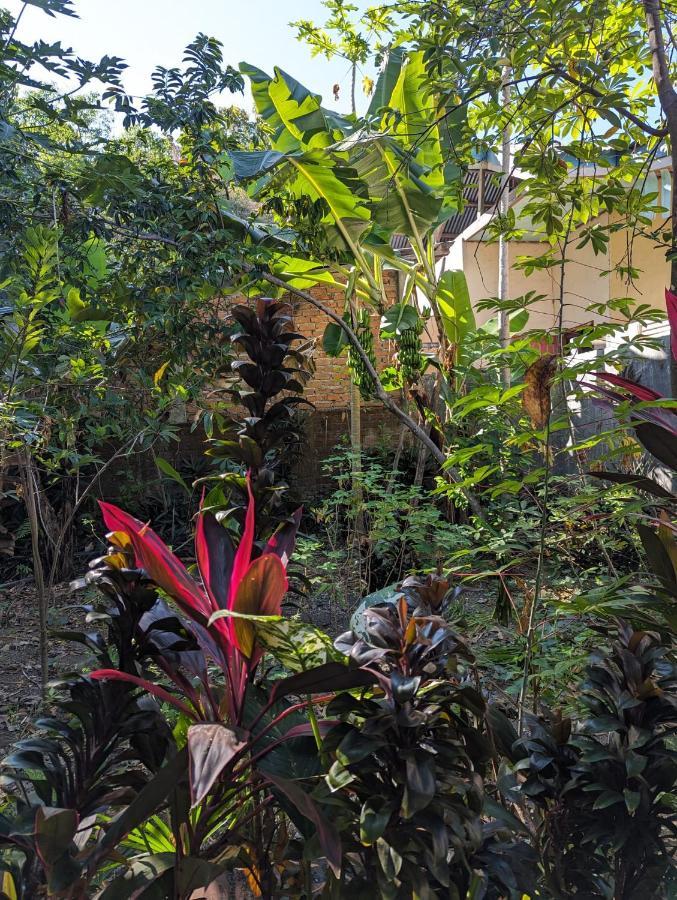 Agus Family Homestay Labuan Bajo Dış mekan fotoğraf